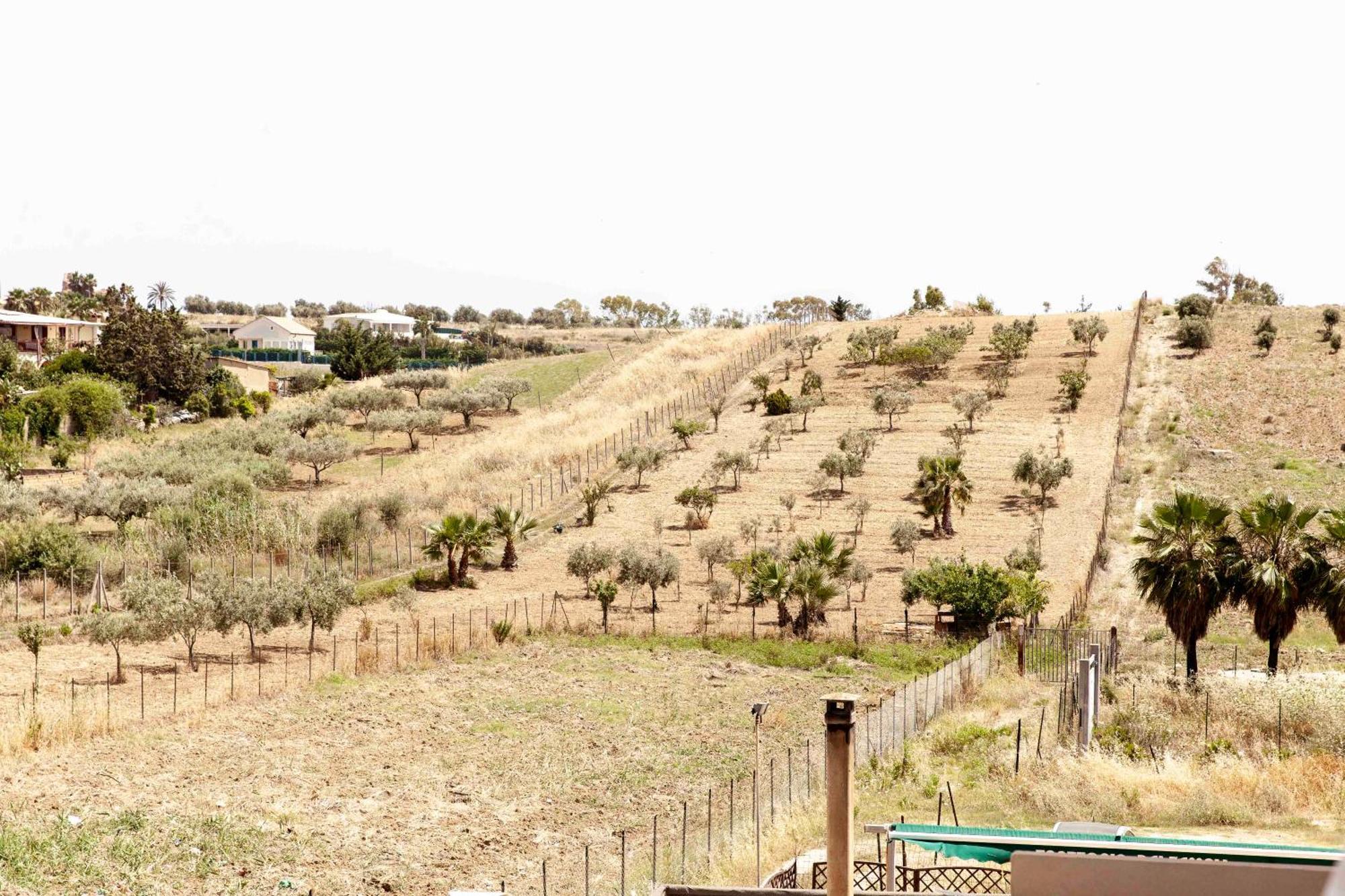 Le Case Di Lucioli' San Leone Exterior foto